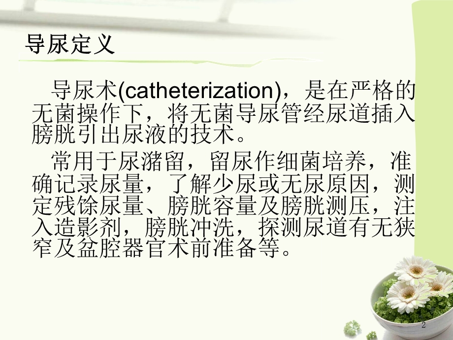 小儿留置导尿管.ppt_第2页