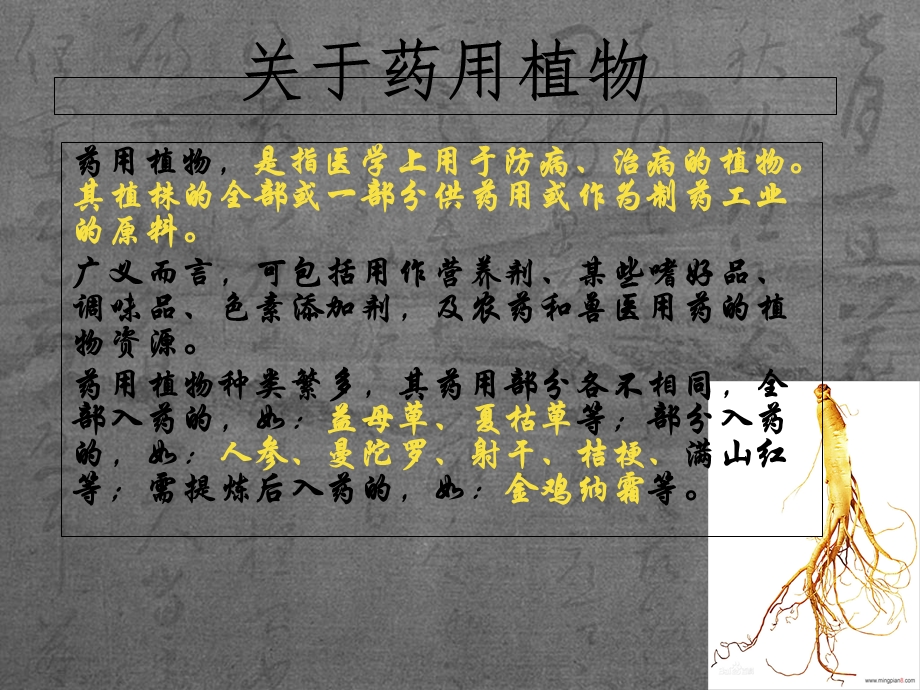 10种药用植物简介.ppt_第2页