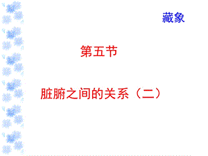 脏腑之间的关系二.ppt