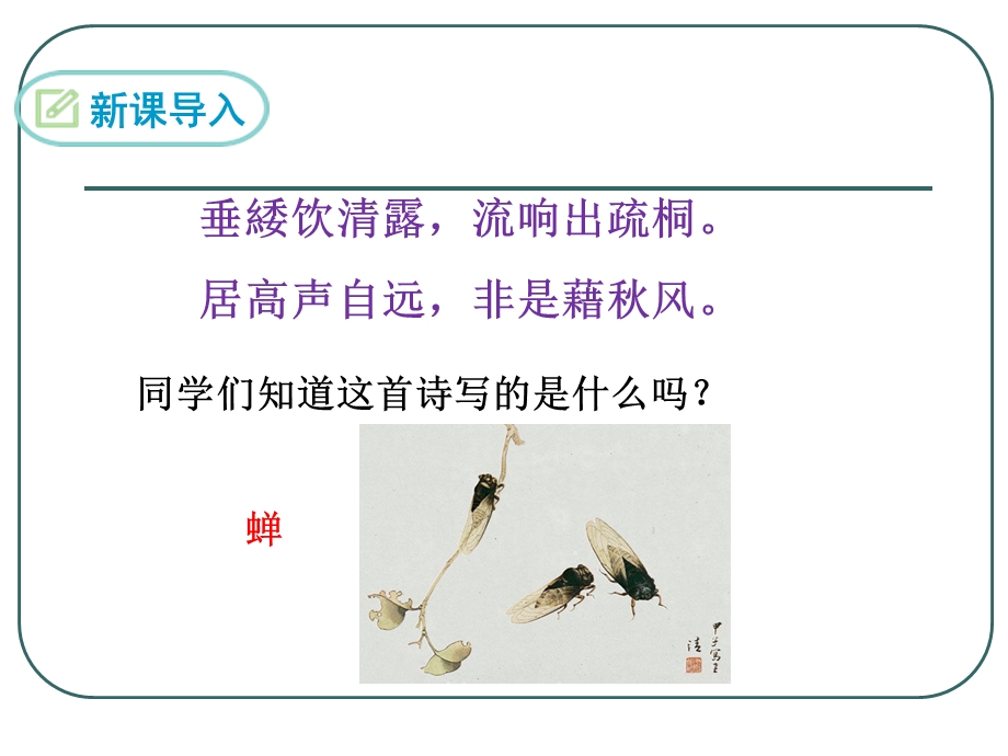 蝉(法布尔)精品公开课PPT课件.ppt_第3页