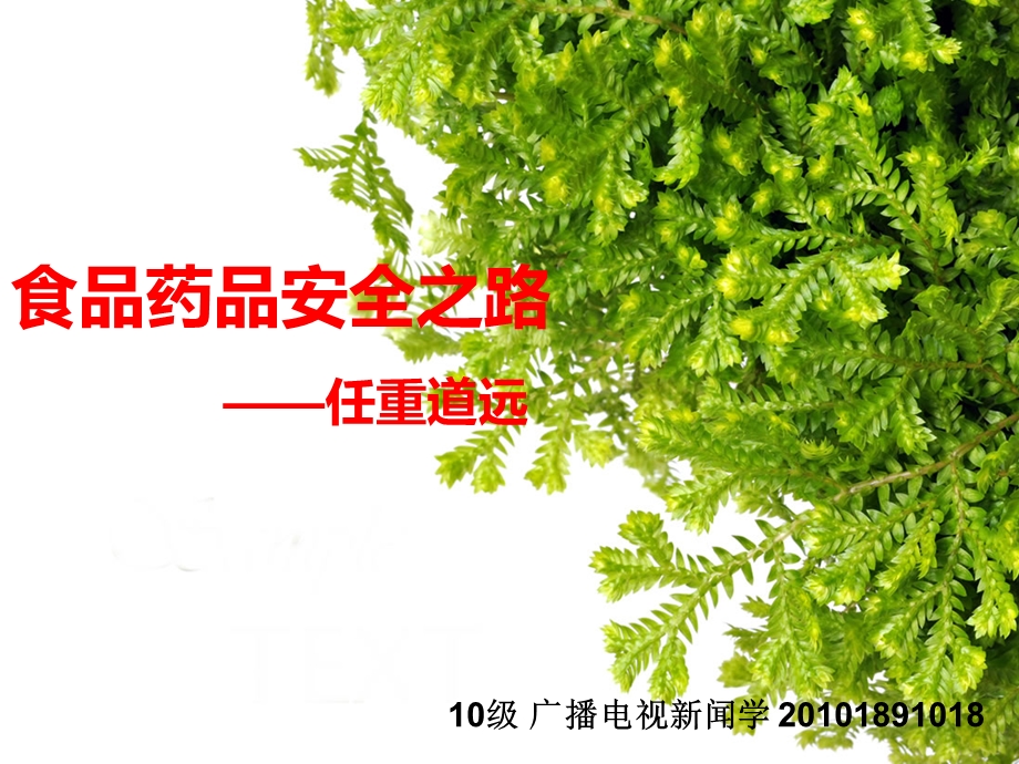 食品药品安全之路.ppt_第1页