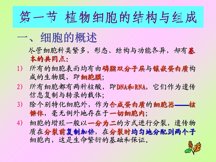 细胞结构与功能教.ppt_第3页