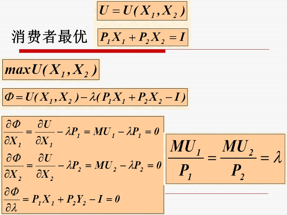 选择与效用最大化.ppt_第2页