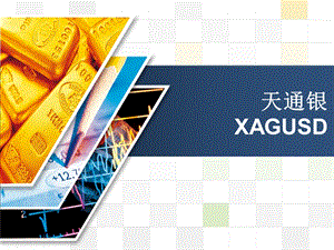 天通银XAGUSDppt课件.ppt