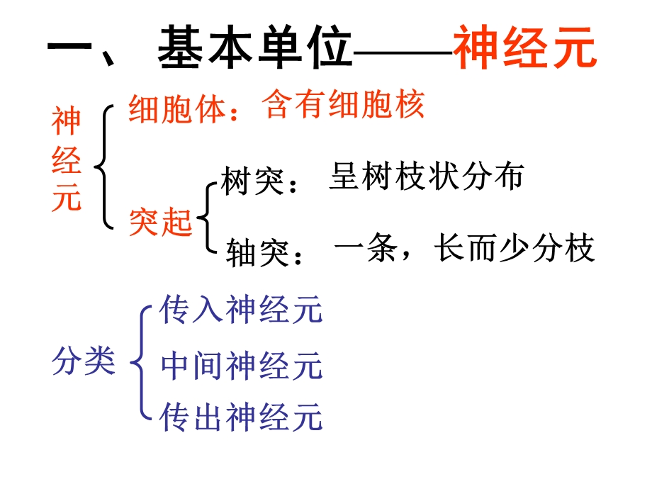 通过神经系统的调.ppt_第2页