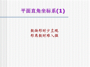 数缺形时少直观形离数时难入微.ppt