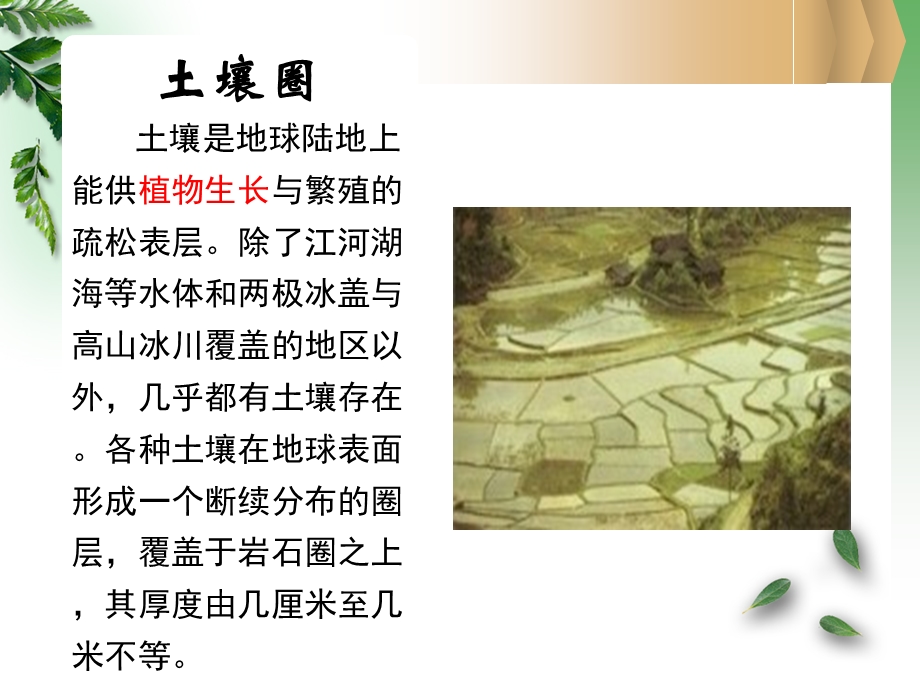 资源过程的生态学原理.ppt_第3页