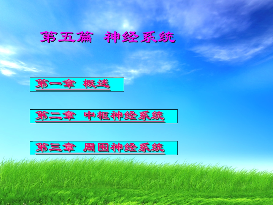 神经系统端脑(完整).ppt_第2页