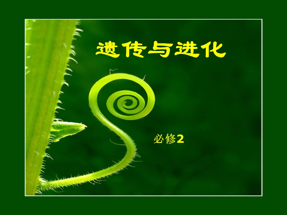 孟德尔的豌豆杂交实验(一)分离定律.ppt_第1页