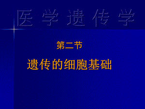 遗传的细胞基础.ppt