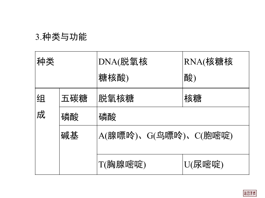 细胞中的核酸、糖类和脂质.ppt_第2页