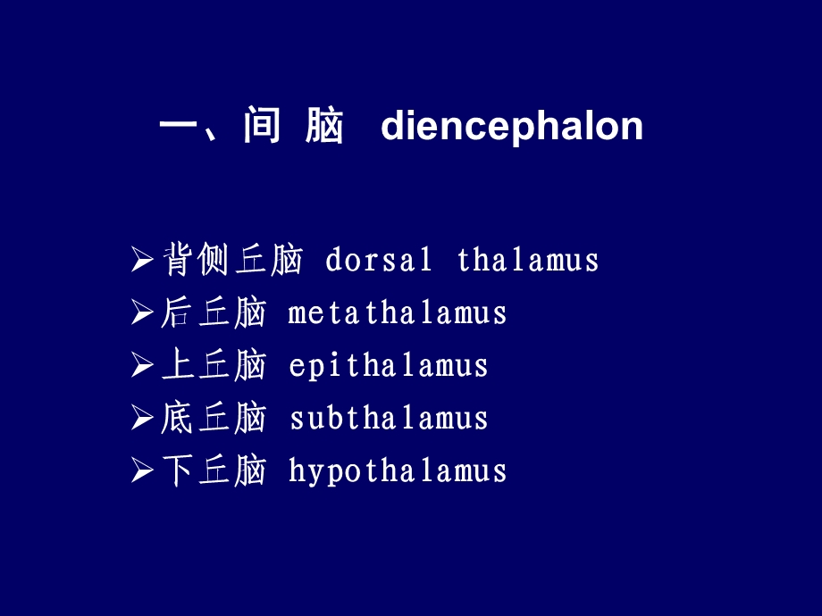 头部断层解剖学-人体断层解剖学-课件.ppt_第2页