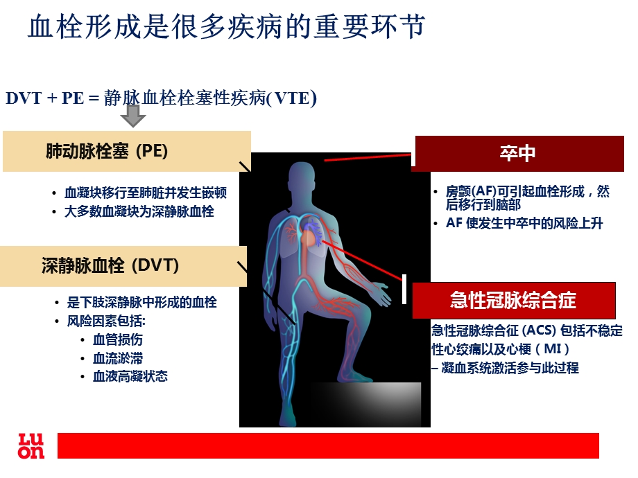 抗凝药物的使用及注意事项.ppt_第3页