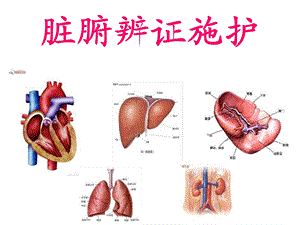 脏腑辩证施护总纲.ppt