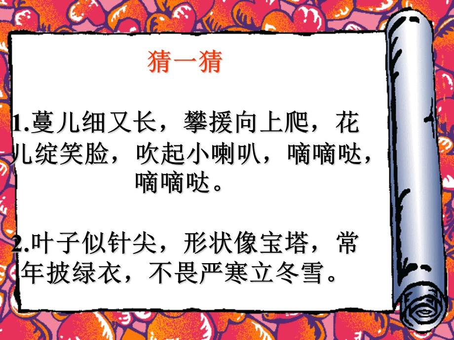 我喜爱的植物(作文课件).ppt_第2页