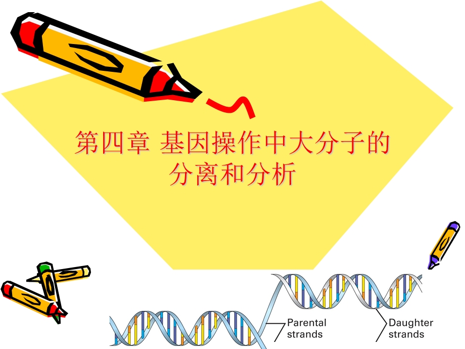 基因操作中大分子的分离和分析.ppt_第1页