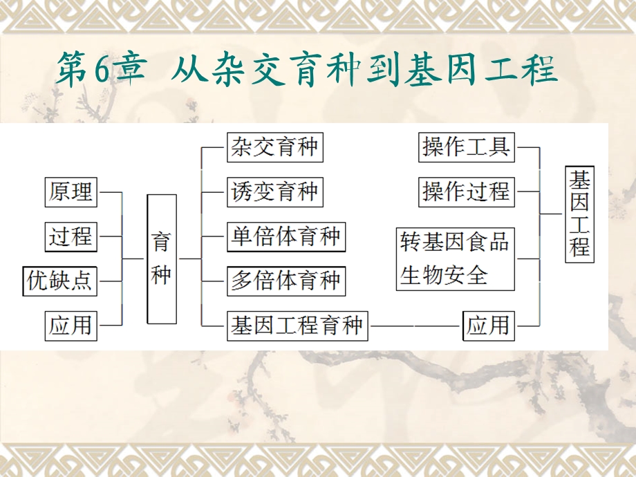 期末复习6-从杂交育种到基因工程.ppt_第1页