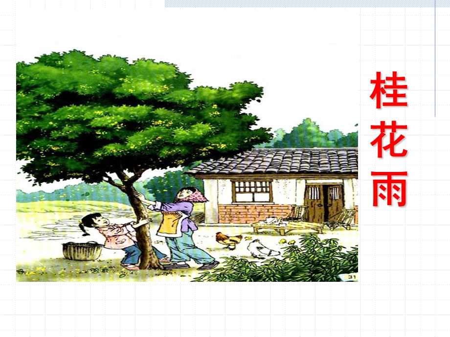 (上课)桂花雨PPT课件.ppt_第2页