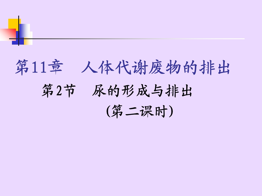 尿的形成与排出(课件).ppt_第1页