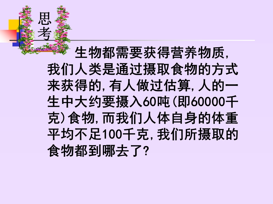 尿的形成与排出(课件).ppt_第2页