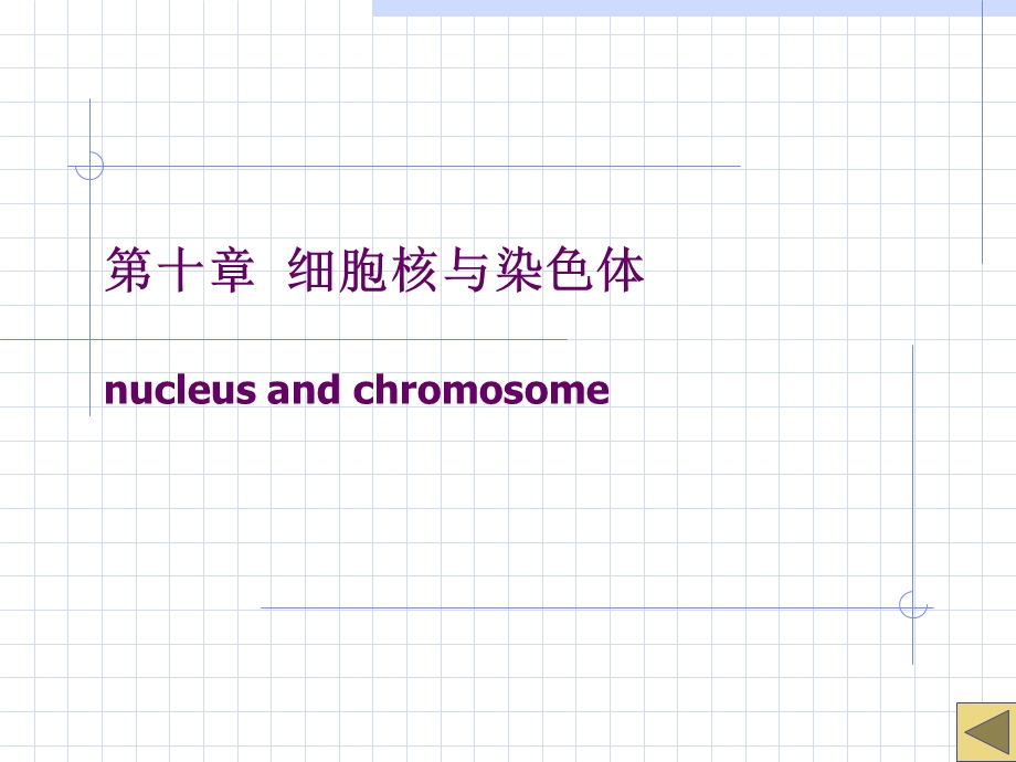 细胞核nucleus与染色体.ppt_第1页