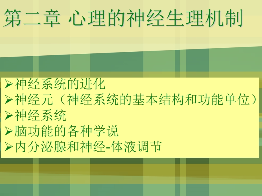 神经系统的进化.ppt_第1页