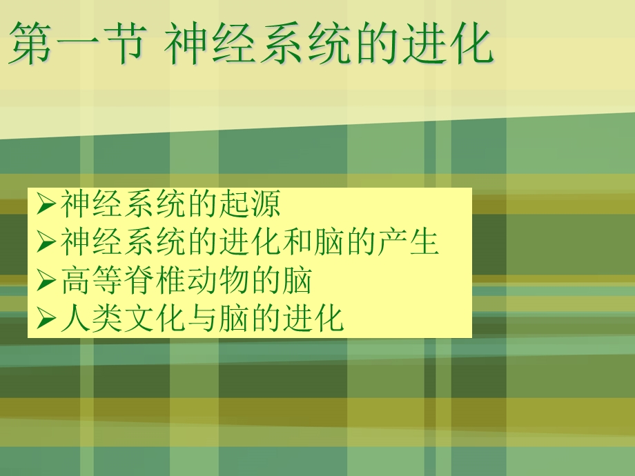 神经系统的进化.ppt_第2页