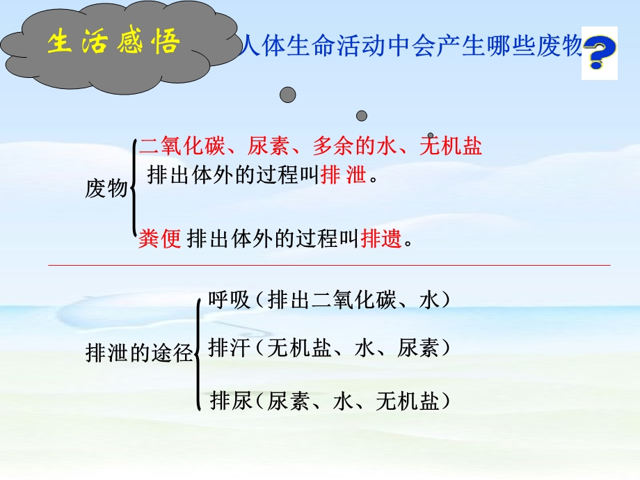 尿的行成及排出.ppt_第1页