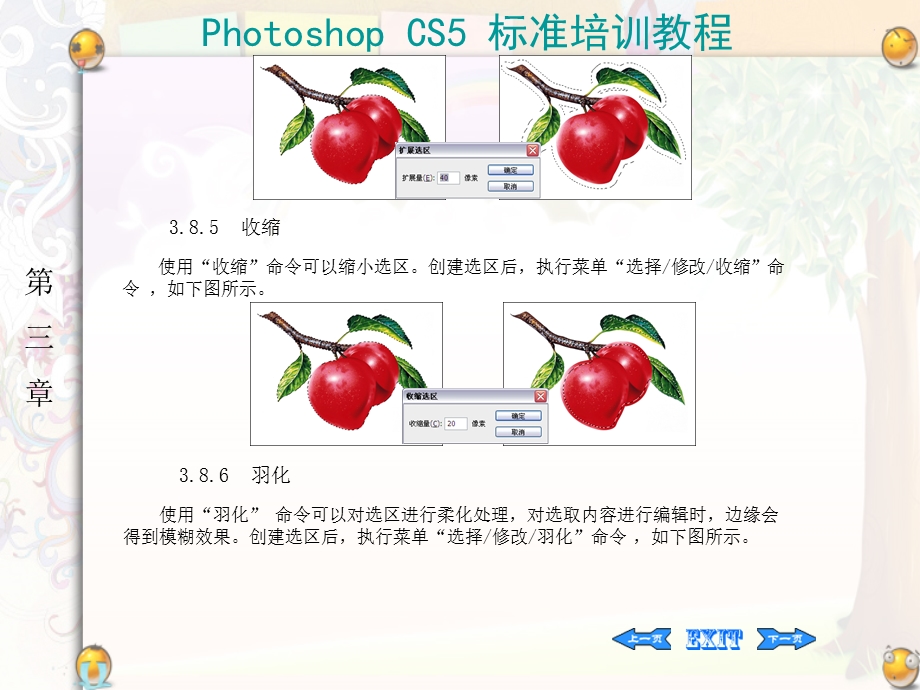 photoshopcs5标准培训课程对已建选区的调整.ppt_第3页