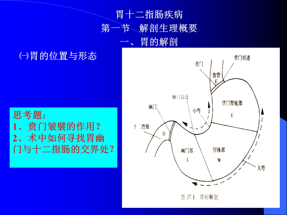 胃十二指肠疾病之.ppt_第1页