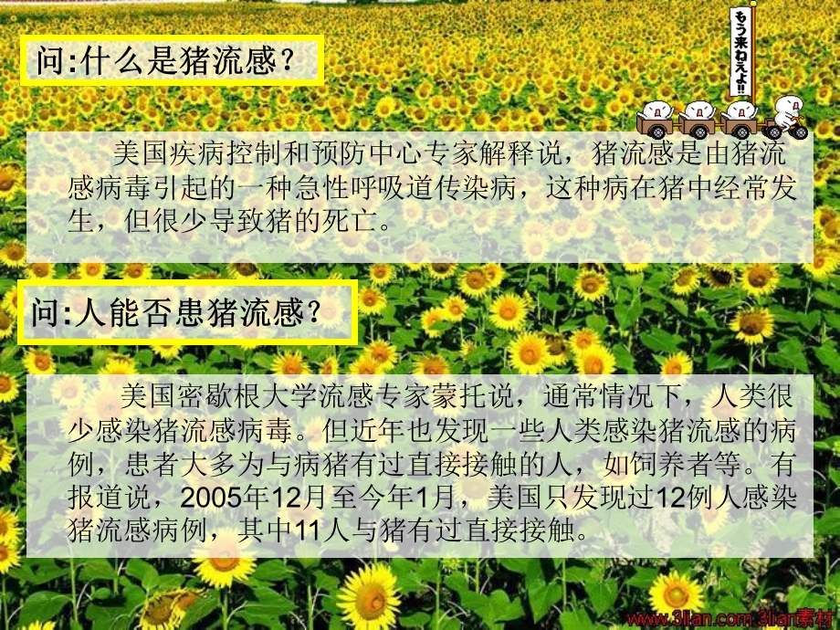 培训课件猪流感.ppt_第2页