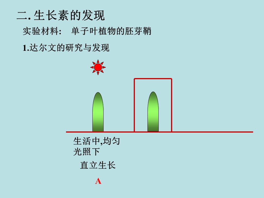 生长素的发现上.ppt_第3页