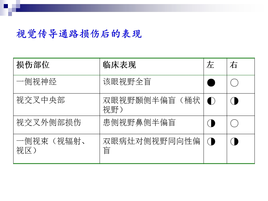 视觉传导通路.ppt_第3页