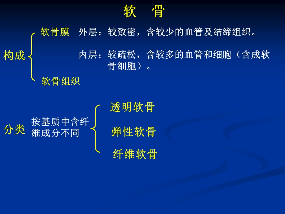 软骨组织和软骨.ppt_第3页