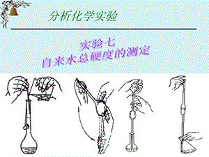 天然水总硬度的测定.ppt