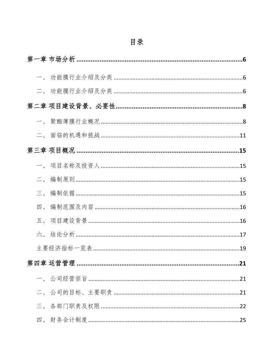 内蒙古功能膜项目可行性研究报告.docx_第1页