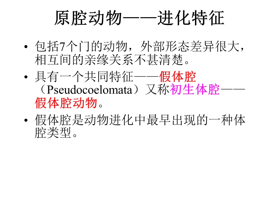 35原腔动物.ppt_第3页