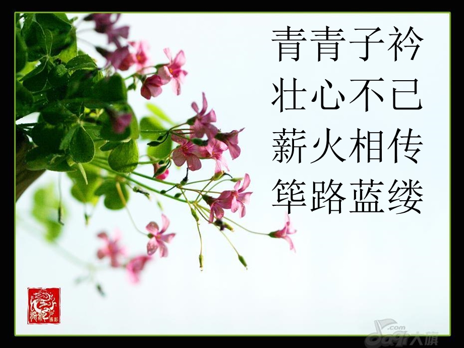 师德演讲ppt课件.ppt_第3页