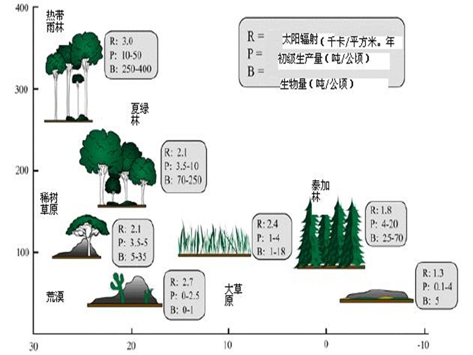 生态系统中能量流动.ppt_第3页