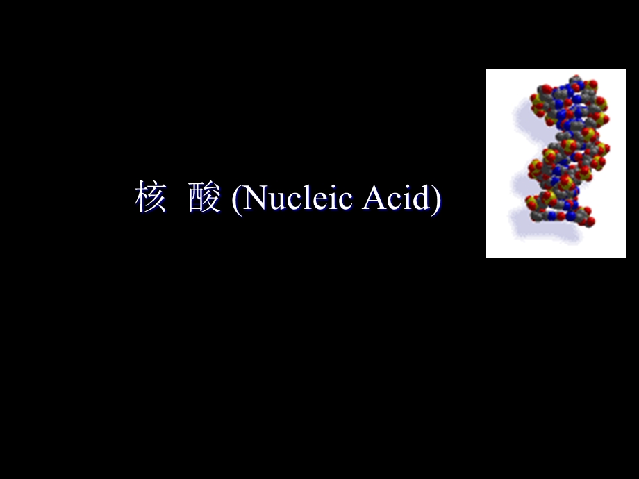 生物化学第三章核酸.ppt_第1页