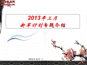 2013年三月新军计划专题介绍.ppt