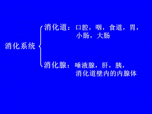 消化系统生理学.ppt