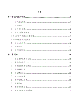 凉山水性涂料项目可行性研究报告.docx