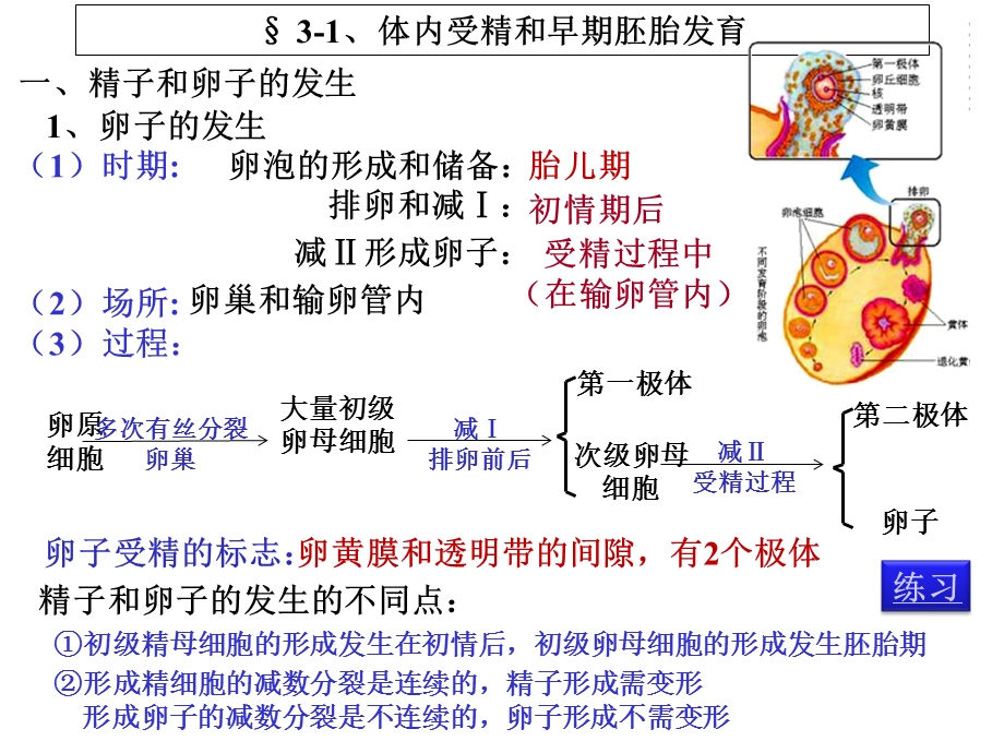 胚胎工程(复习).ppt_第3页