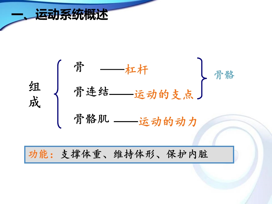 学前儿童运动系统的特点及保健.ppt_第3页