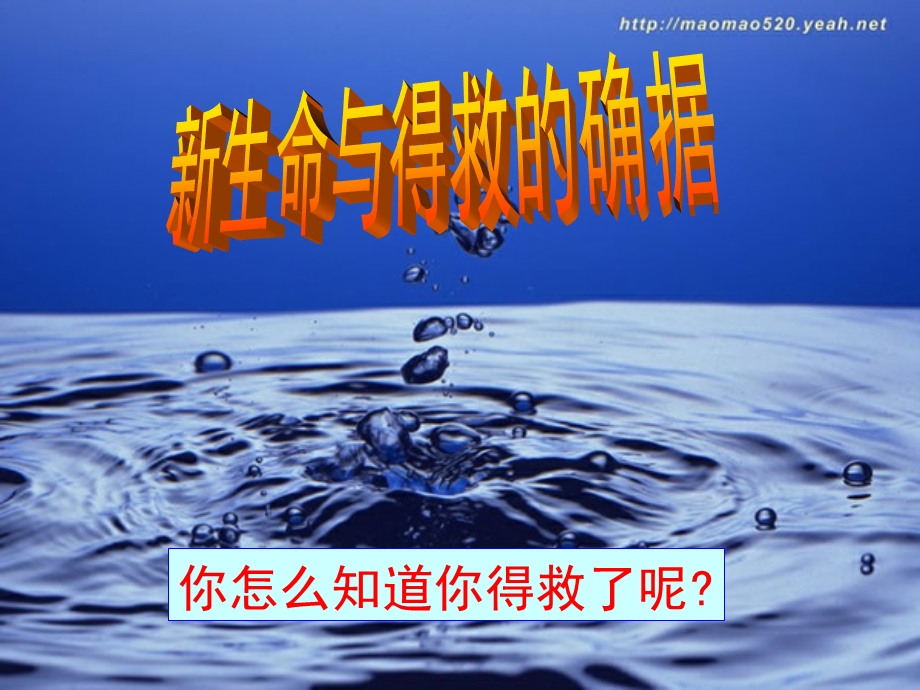 10新生命与得救的确据.ppt_第3页