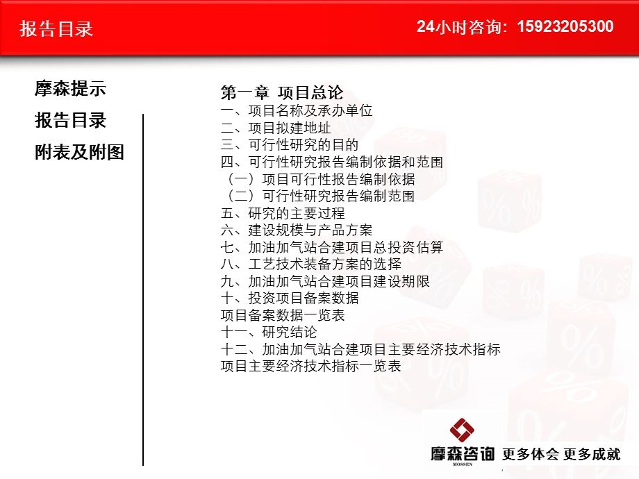 加油加气站合建项目可行研究报告.ppt_第3页