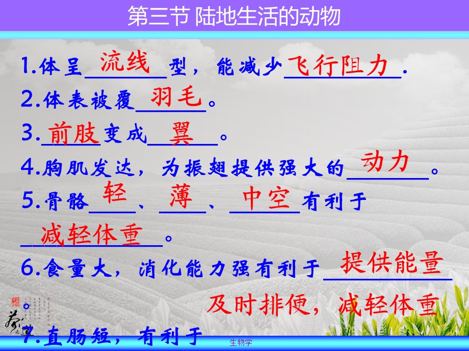 空中飞行的生物.ppt_第1页