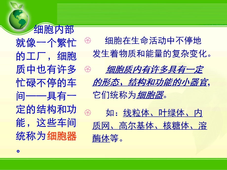 细胞中的细胞器.ppt_第3页