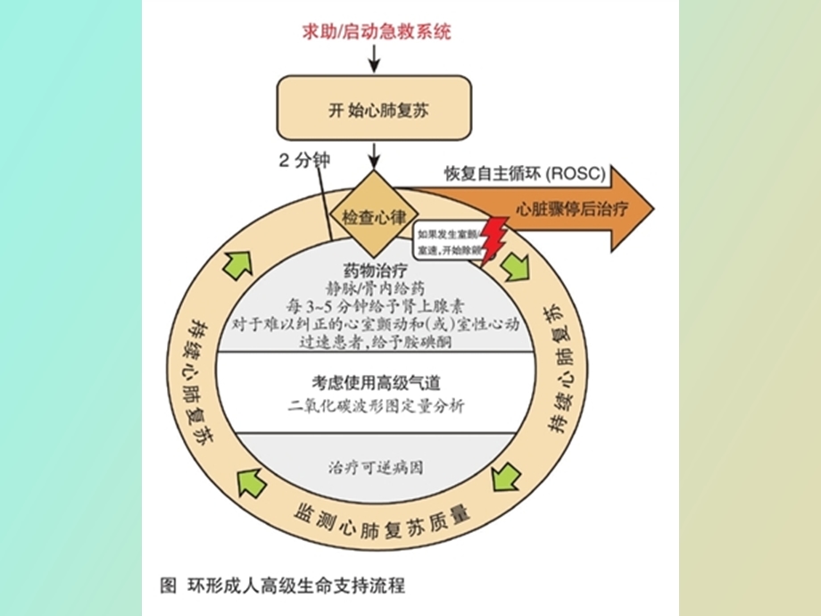 心肺复苏后的高级生命支持.ppt_第3页